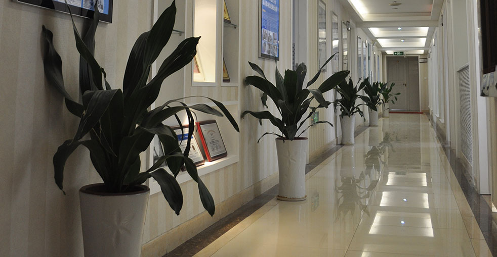 Hospital 5